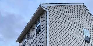 Best Siding Painting and Refinishing  in Hebbronville, TX